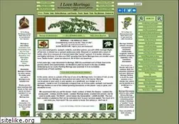 Sites similar to ilovemoringa.com
