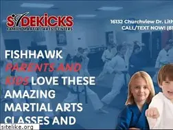 Sites similar to ilovesidekicks.com