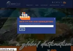 Sites similar to ilovethebronx.com