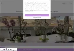 Sites similar to ilpiccoloattico.it
