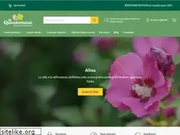 Sites similar to ilquadrifoglioerboristeria.it