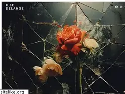 Sites similar to ilsedelange.com