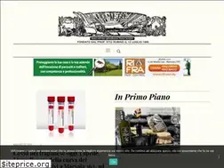 Sites similar to ilvomere.it