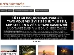 Sites similar to ilzes-dirbtuves.lt
