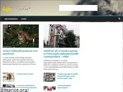 Sites similar to imadomamacskam.hu