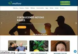 Sites similar to imaflora.org