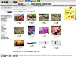 Sites similar to image2d.com