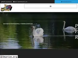 Sites similar to imageartsetc.com