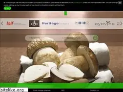 Sites similar to imageplus.com.br