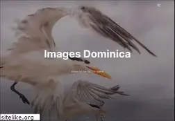 Sites similar to imagesdominica.com