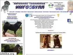 Sites similar to imgosbull.ru