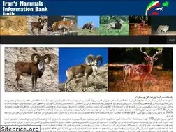 Sites similar to imib.ir