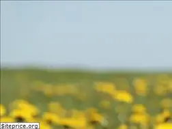 Sites similar to imkereibedarf-humme.de
