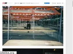 Sites similar to immeuble-paris.fr