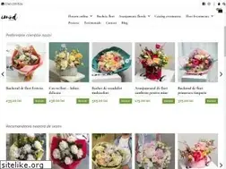 Sites similar to imodflowers.ro