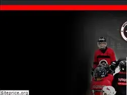Sites similar to impacthockeyacademy.com