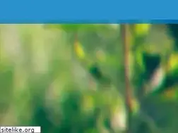 Sites similar to importcenter.com.py