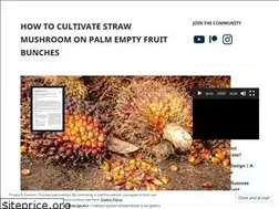 Sites similar to improvemushroomcultivation.com