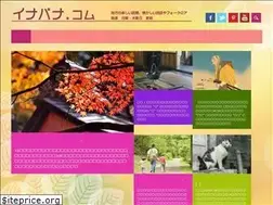 Sites similar to inabana.com