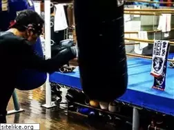Sites similar to inagegym.com
