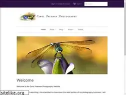 Sites similar to inbeautyiwalk.com