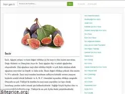 Sites similar to incir.gen.tr