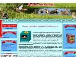 Sites similar to incubatorun.ru