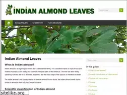 Sites similar to indianalmondleaves.com