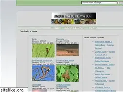 Sites similar to indianaturewatch.com