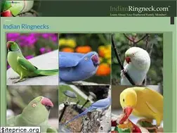 Sites similar to indianringneck.com
