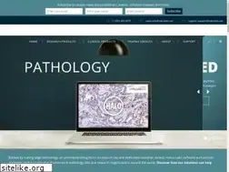 Sites similar to indicalab.com