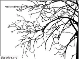 Sites similar to indiefolk.com