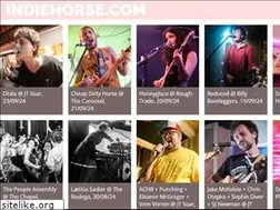 Sites similar to indiehorse.com