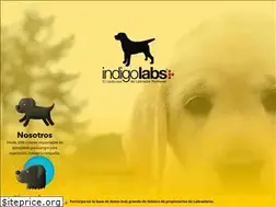 Sites similar to indigolabs.com.mx