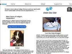 Sites similar to indigorescue.org