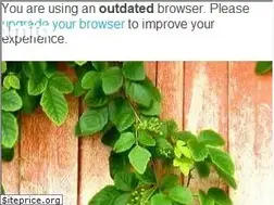 Sites similar to indomio.bg