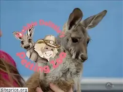 Sites similar to indoorpettingzoo.com