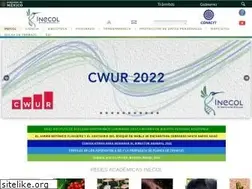 Sites similar to inecol.edu.mx
