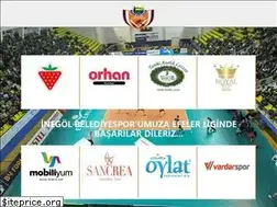 Sites similar to inegolbelediyespor.org