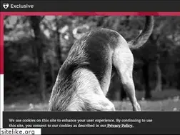 Sites similar to infiniapetfood.com