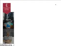 Sites similar to inflammation-systemicenzymes.com