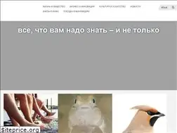 Sites similar to info-finlandia.ru