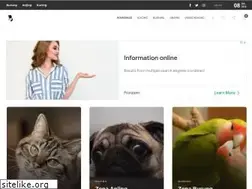 Sites similar to infobinatang.com