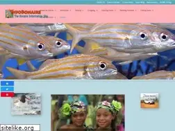 Sites similar to infobonaire.com