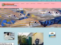 Sites similar to infobonaire.tv