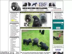 Sites similar to infos-bouviers-des-flandres.com
