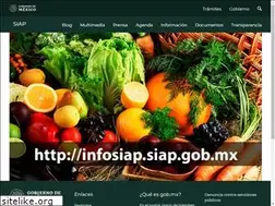 Sites similar to infosiap.siap.gob.mx