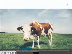 Sites similar to infovegana.com