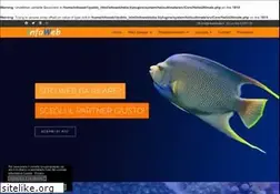 Sites similar to infowebitalia.it