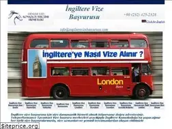 Sites similar to ingilterevizebasvurusu.com